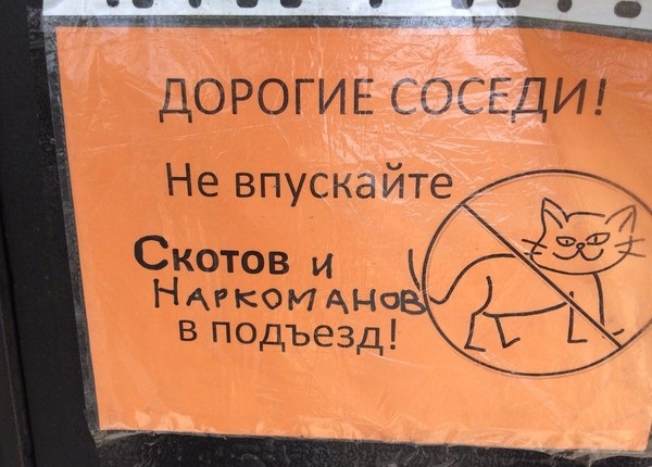 Забавные картинки
