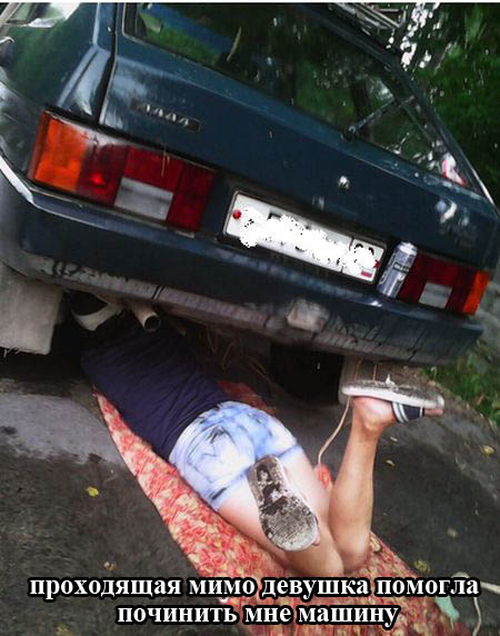 Забавные картинки
