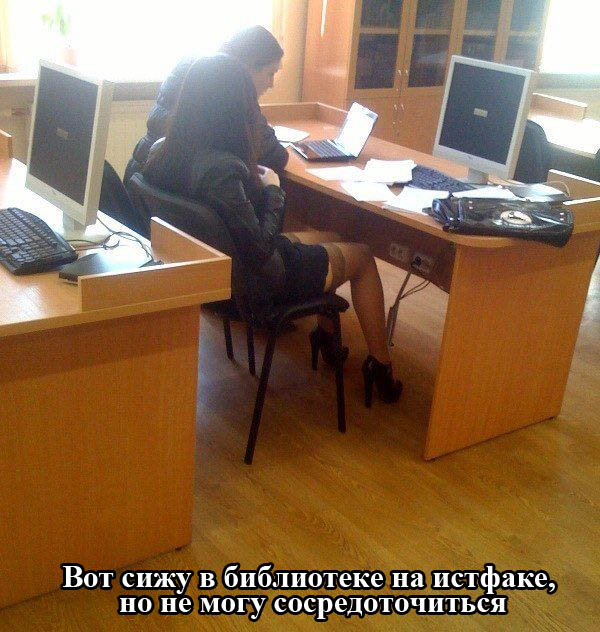 Порция картинок