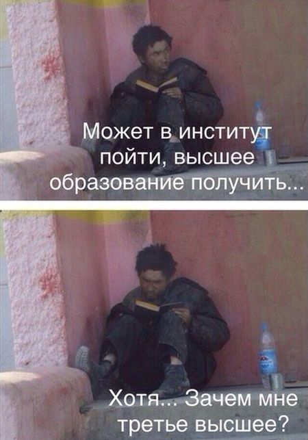 Порция картинок