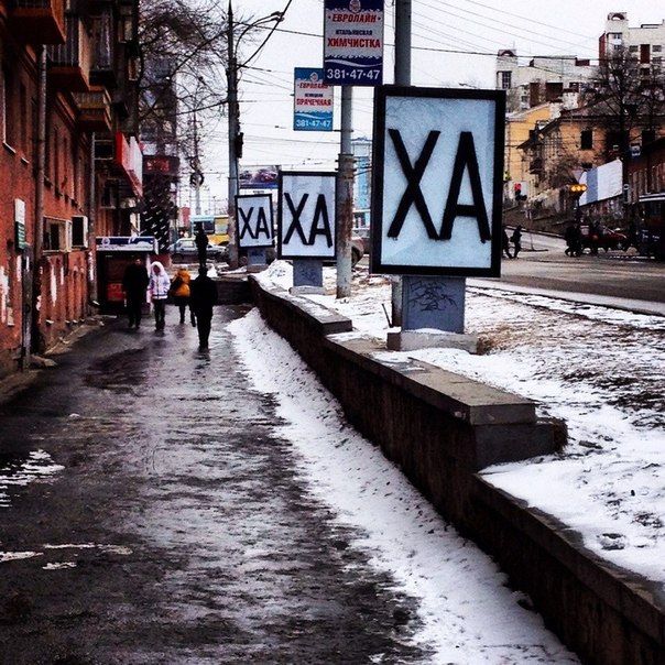 Забавные картинки