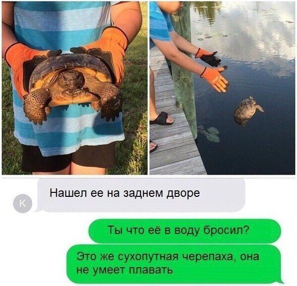 Забавные картинки