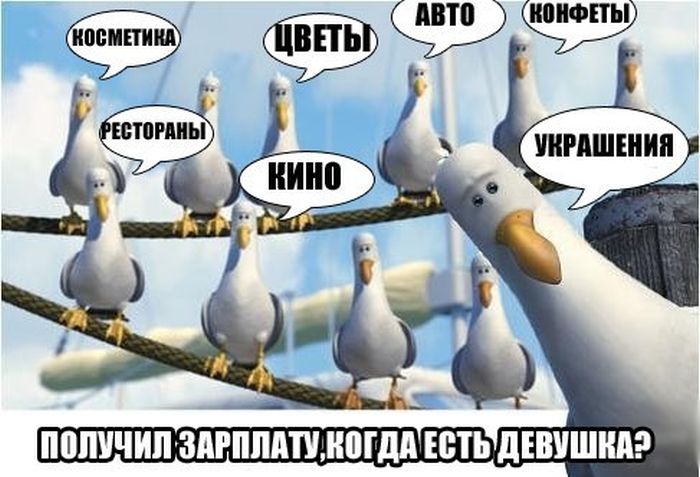 Забавные картинки