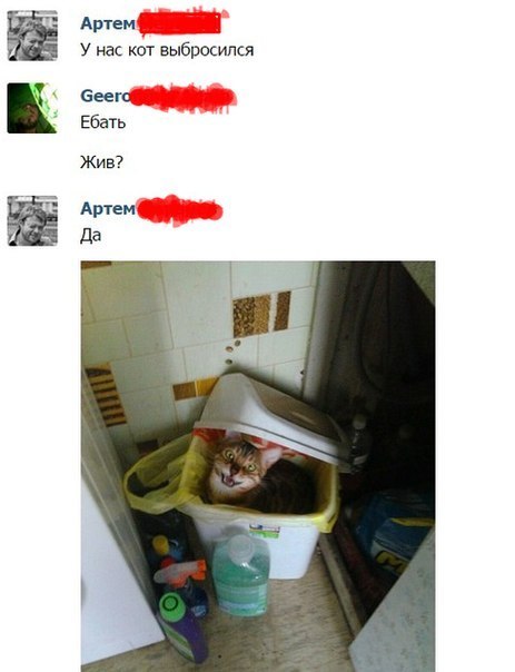 Забавные картинки