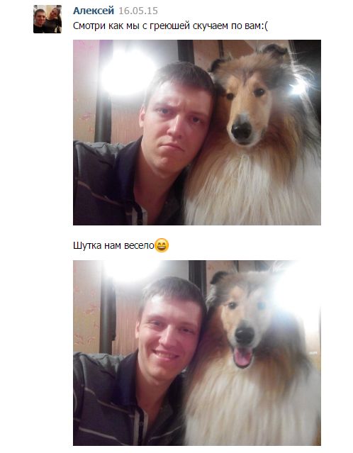 Забавные картинки