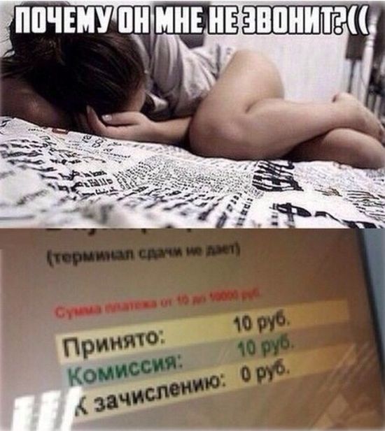 Забавные картинки