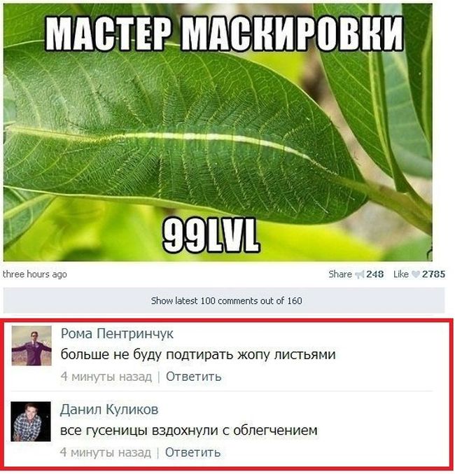 Забавные картинки