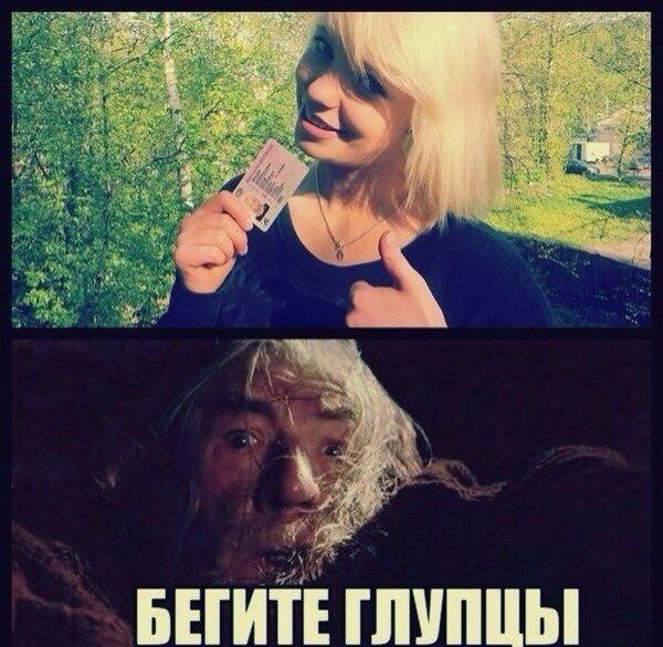 Забавные картинки