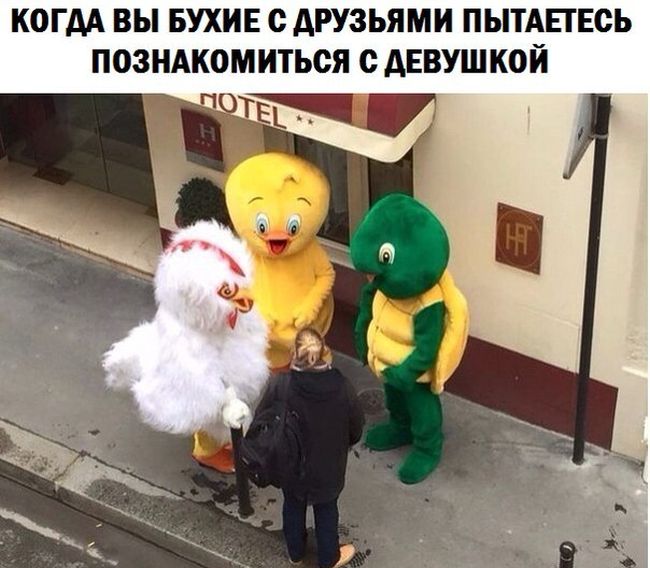 Забавные картинки