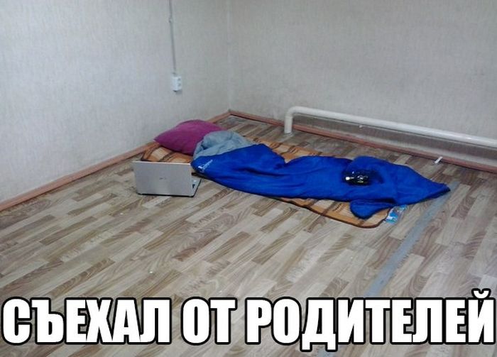 Забавные картинки