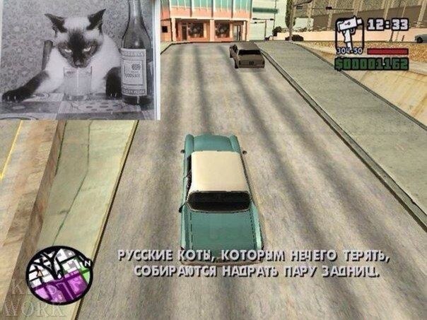 Забавные картинки