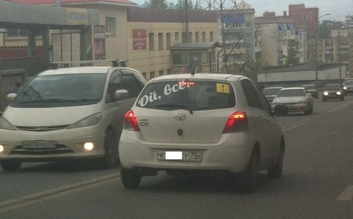 Забавные картинки