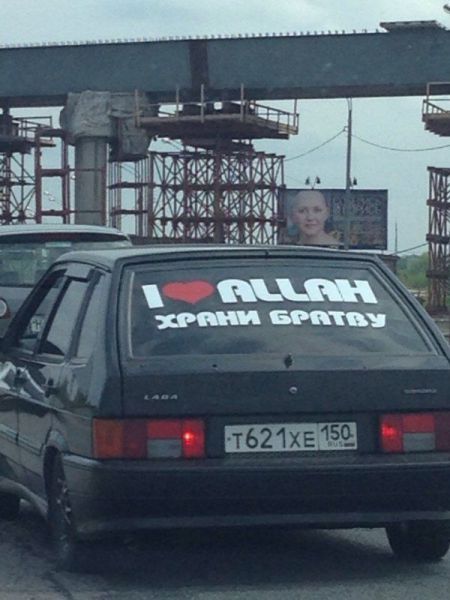 Забавные картинки