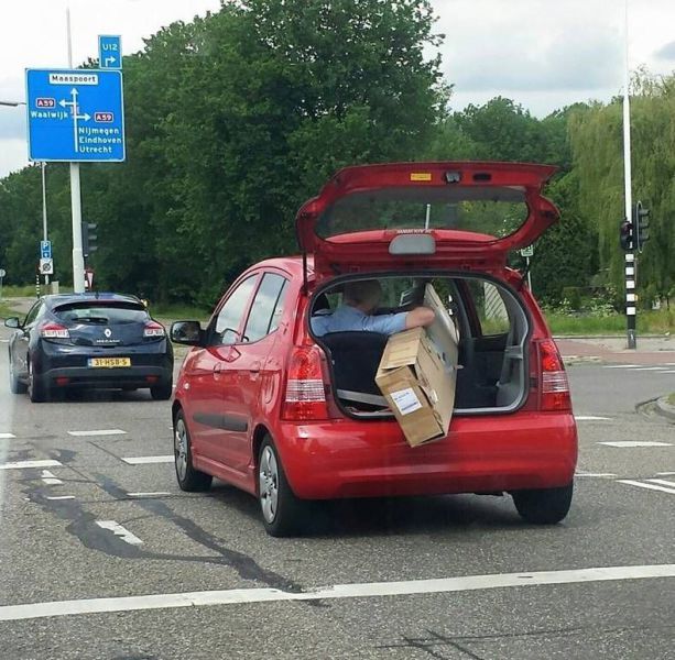 Забавные картинки