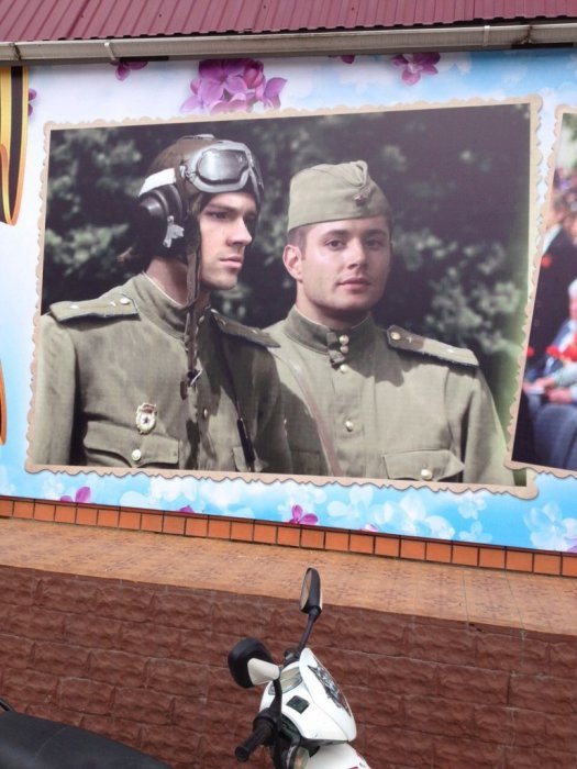Забавные картинки