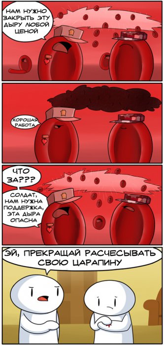 Забавные картинки
