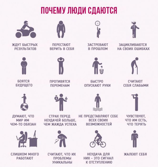 Порция картинок