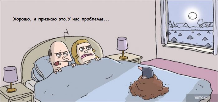 Забавные картинки