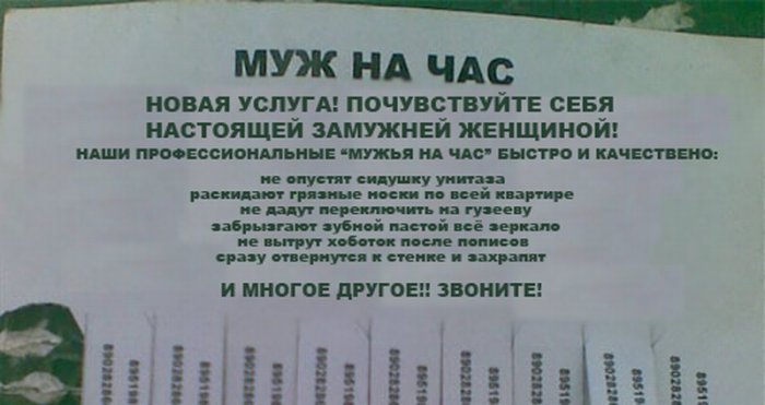 Забавные картинки