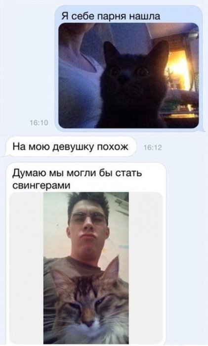 Забавные картинки