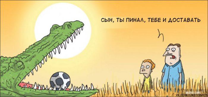 Забавные картинки