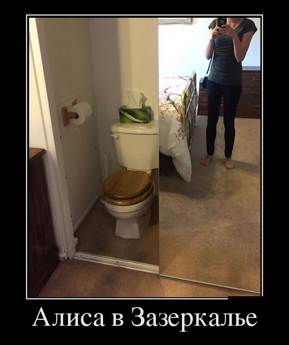 Демотиваторы