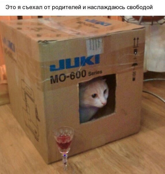 Забавные картинки
