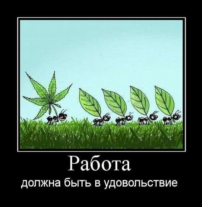 Демотиваторы