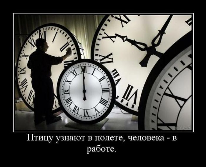 Демотиваторы