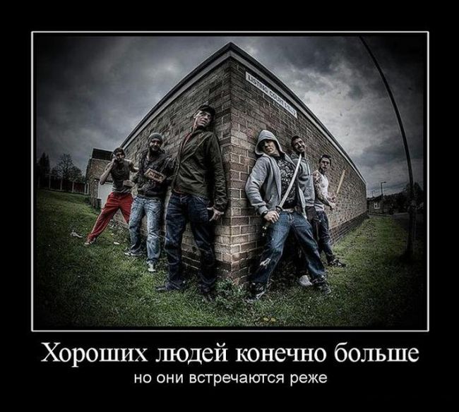 Демотиваторы