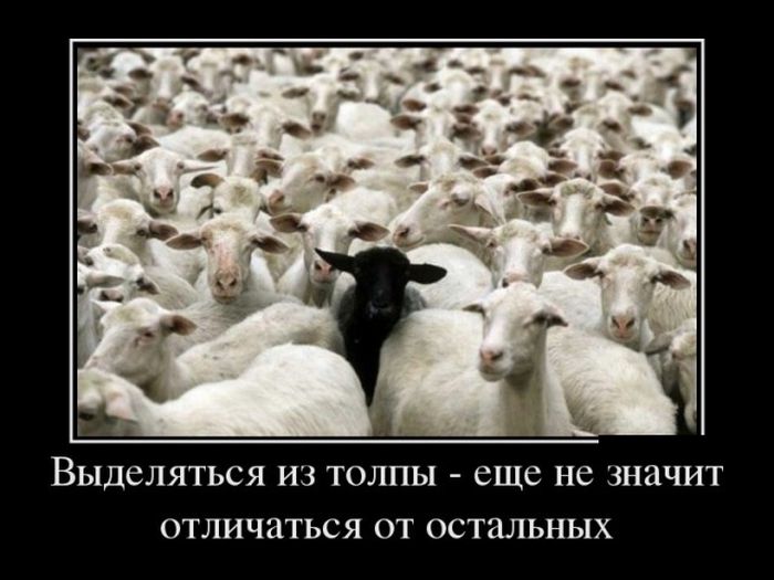 Демотиваторы