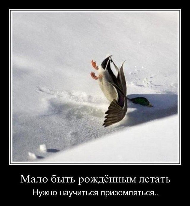 Демотиваторы