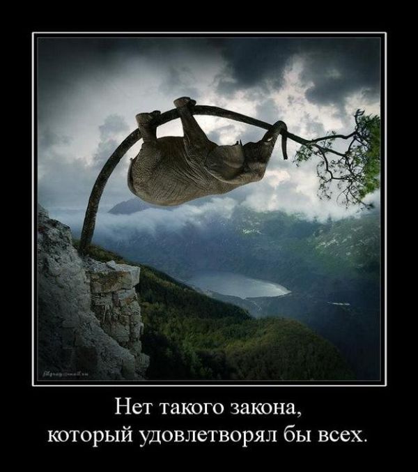 Демотиваторы