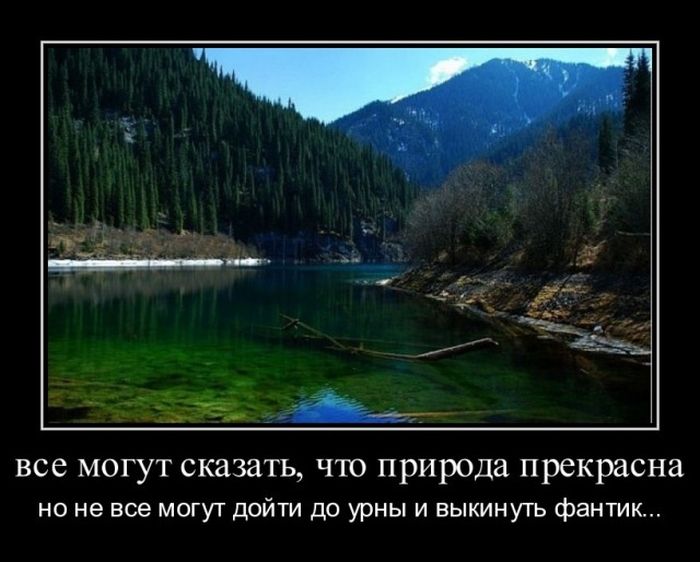 Демотиваторы