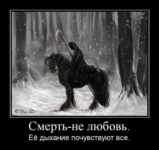 Демотиваторы