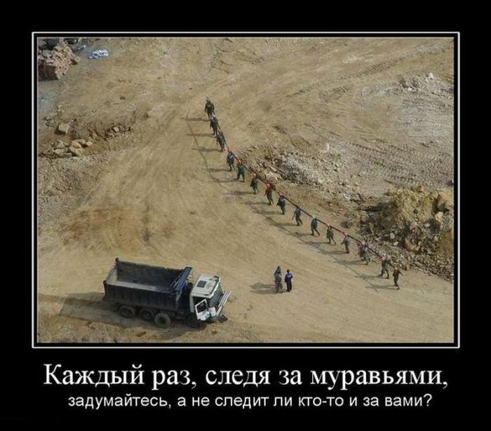 Демотиваторы