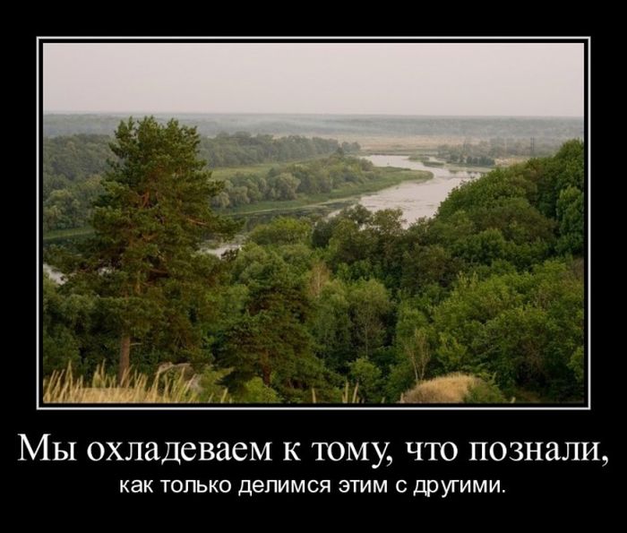 Демотиваторы