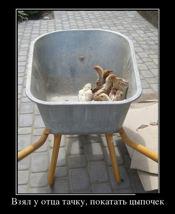 Демотиваторы