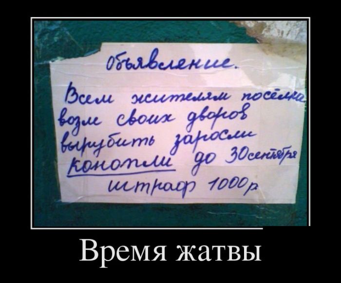 Демотиваторы