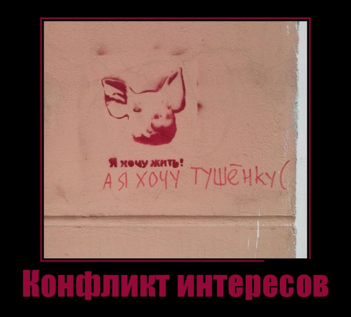 Демотиваторы