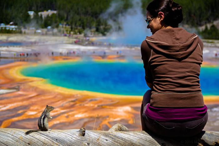 Забавные картинки