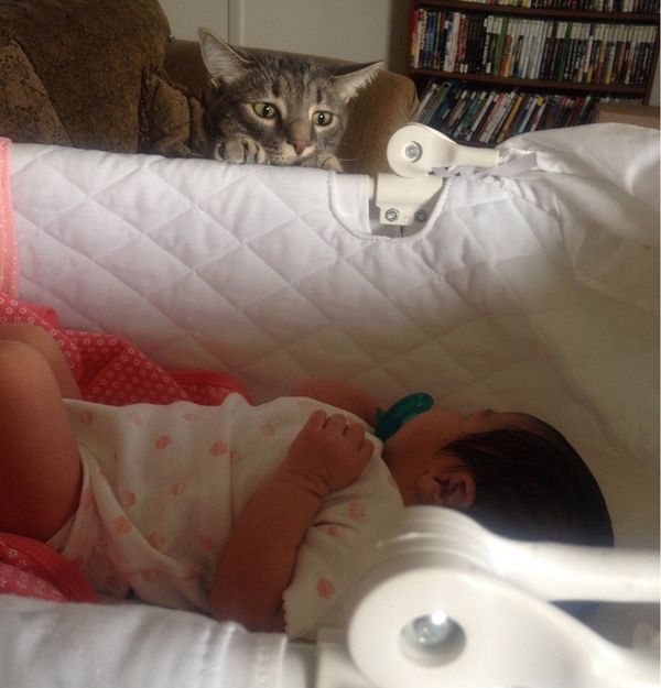 Забавные картинки