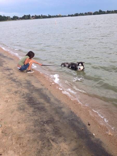 Забавные картинки