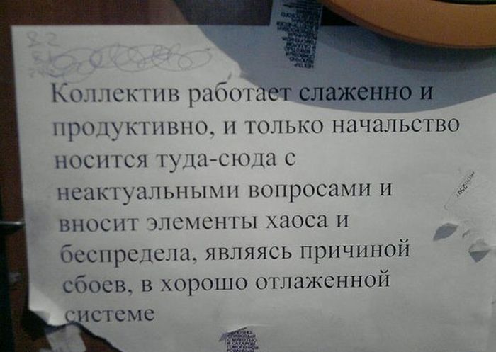 Забавные картинки