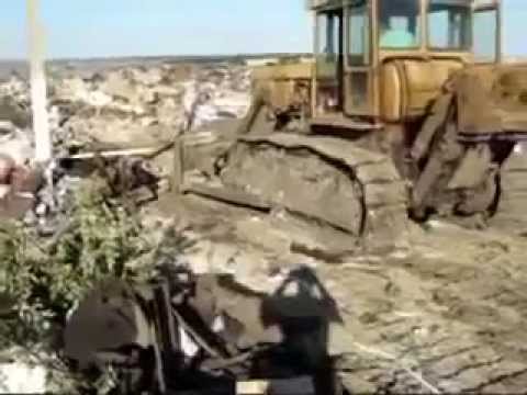  Баллада о трёх гусях