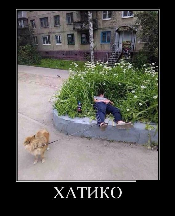 Демотиваторы