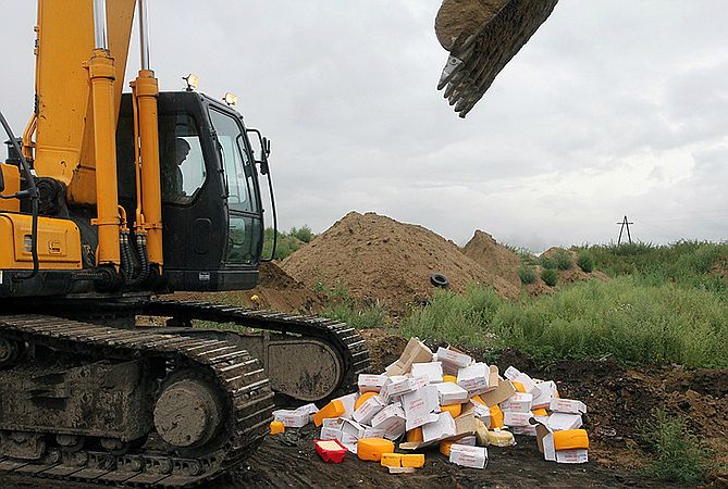 В Красноярске уничтожили крупные партии санкционного сыра и форели