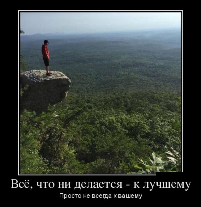 Демотиваторы