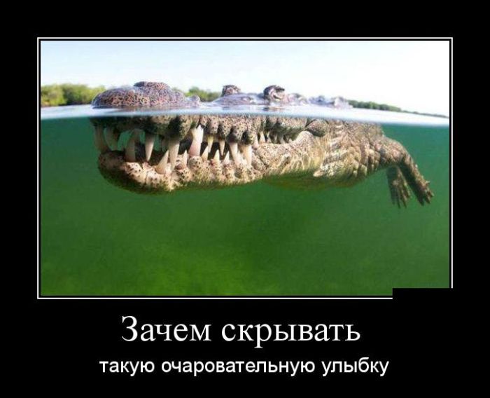 Демотиваторы