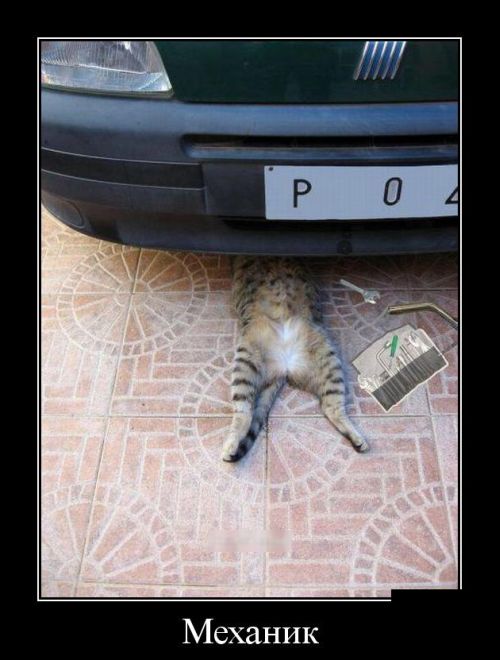 Демотиваторы